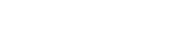 Danship Partners
